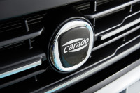 Emblem for radiator Emblem for radiator grille